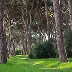 Hotel Parco Dei Pini - 100mt Dal Mare 3*