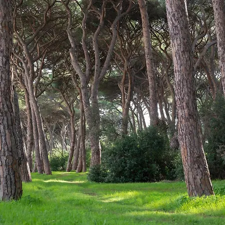 호텔 Parco Dei Pini - 100mt Dal Mare 3*