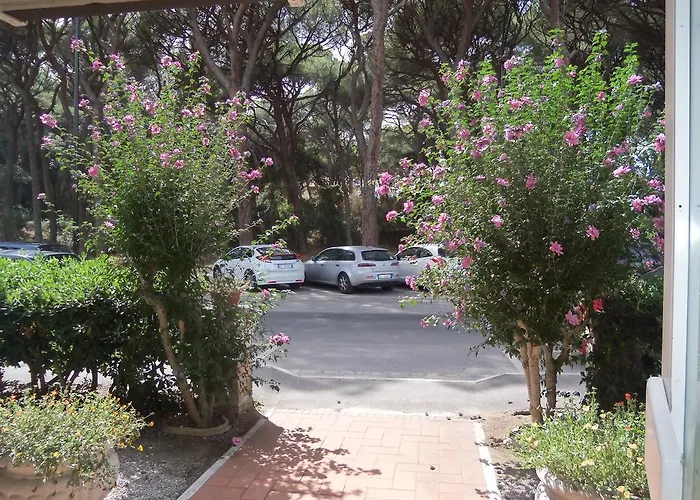 호텔 Parco Dei Pini - 100mt Dal Mare 폴로니카