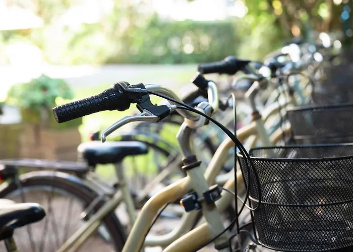 호텔 Parco Dei Pini - 100mt Dal Mare 3*