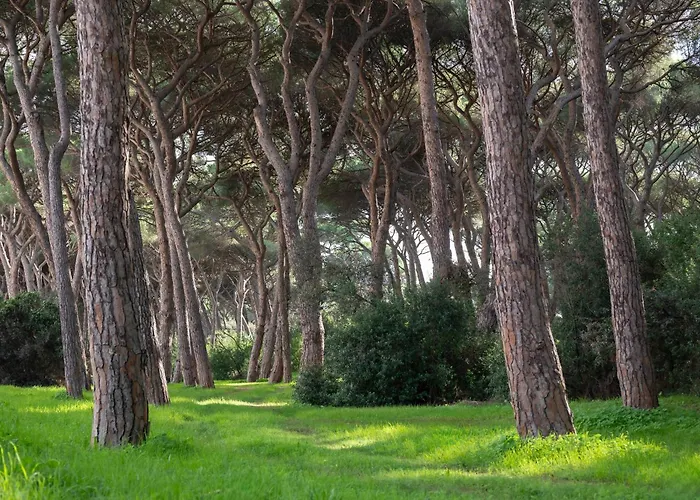 호텔 Parco Dei Pini - 100mt Dal Mare 3*