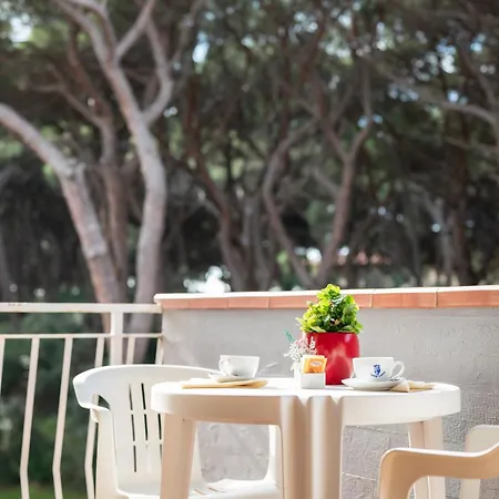 Hotel Parco Dei Pini - 100mt Dal Mare Follonica