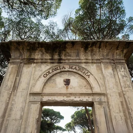 Hotel Parco Dei Pini - 100mt Dal Mare